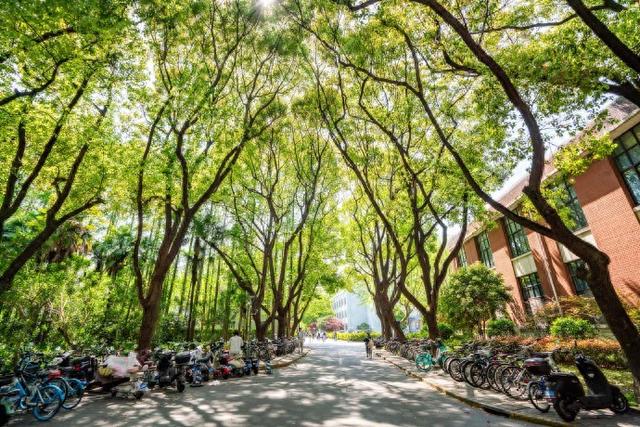 去了一趟华南儋州，实话实说：儋州，确实比网上评价的还要好