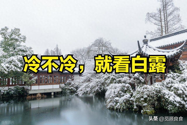"冷不冷，就看白露"，今天白露，今年冬天冷到哭吗？有啥说法？