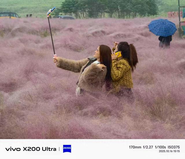 合肥蜀山区：雨中粉黛花、小岭南文化赋美、科大硅谷