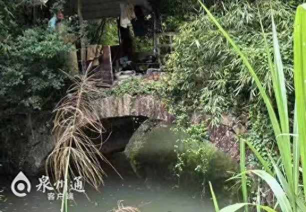 “万里茶道”重要实物！泉州一地发现古代石拱桥