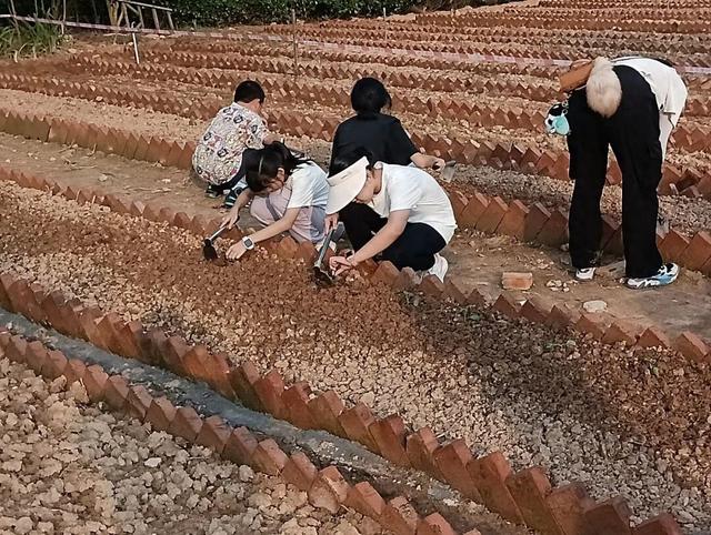 奇趣谷：亲子出游受热捧 游人如织享童趣