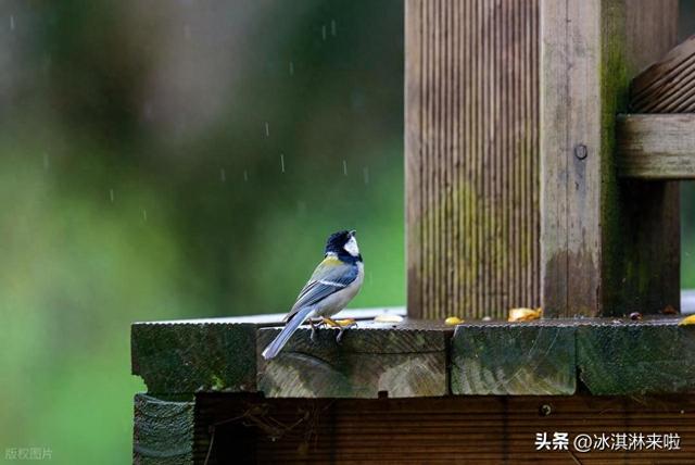 宁夏古镇里的黑马，不要门票	，一年去三次不过瘾