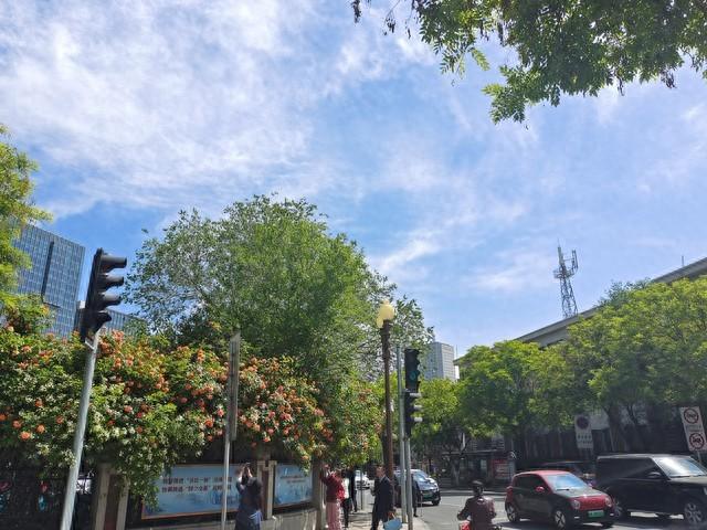 天津注意！明晨北部气温跌至-9℃ 阵风6级+雾霾接力来袭