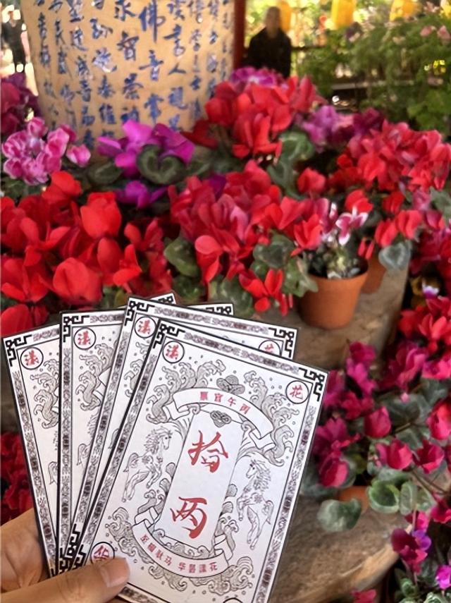 花漾昙华再升级！昙华寺公园第十五届牡丹花展持续焕新，以票换花邀您把春带回家！