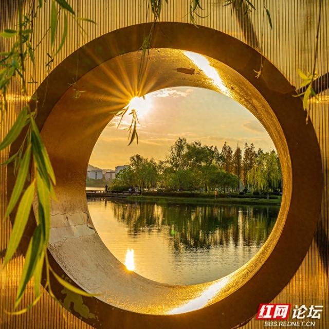 长沙后湖的黄昏，是光写给湖的一封情书