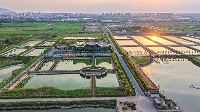 永济市伍姓湖湿地重现自然生态之美