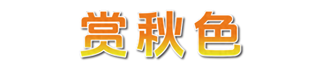 秋日限定美景，还不赶紧来拍？