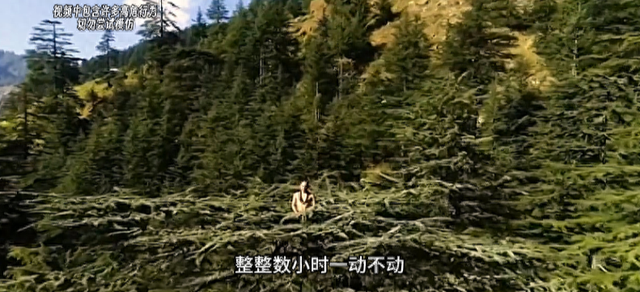 电视台首次到喜马拉雅山实地直播，遇到瑜伽士突然从水里钻出来