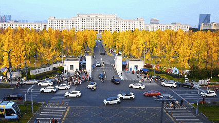 走！坐地铁，赏银杏！