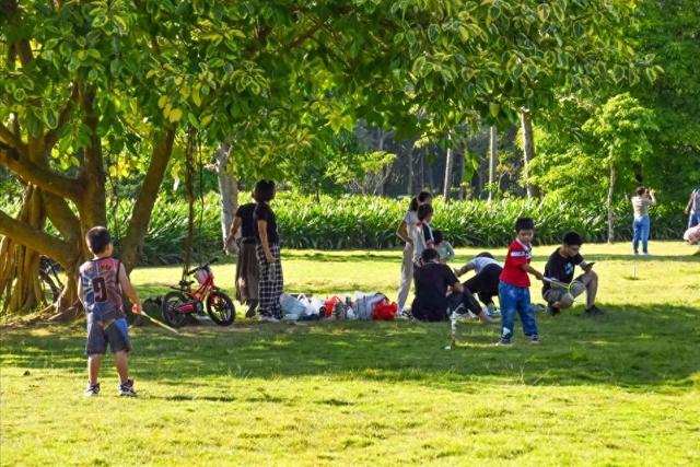 下一个“南宁”已确定？桂林、玉林落榜，这座黑马城市呼声高！