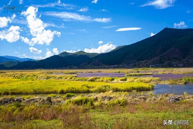 泸沽湖草海差点把我看吐了，到处是油画般的场景，能不能别这么美
