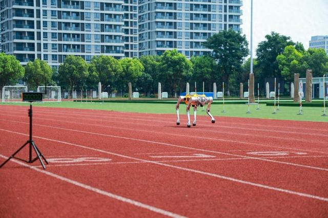 百米冲刺16.33秒！浙江大学四足机器人“白犀”破吉尼斯世界纪录