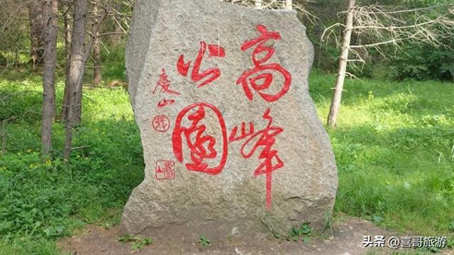探秘嫩江高峰森林公园：北国森林的生态与人文交响
