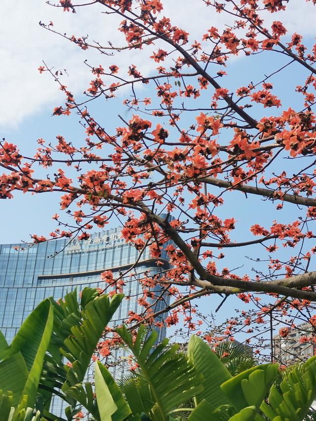 珠海，世界十大最美城市
