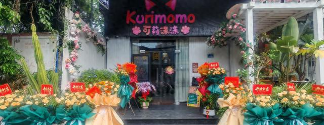 梦幻女仆作品（可莉沫沫女仆日咖夜酒馆大学城里的梦幻次元空间）