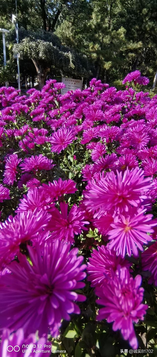 过年找搭子，出门去旅游