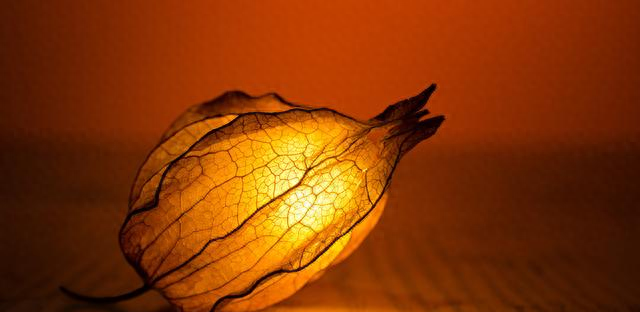 亥猪，人算不如天算，12月20号最大的坎，可能不是事，而是人！