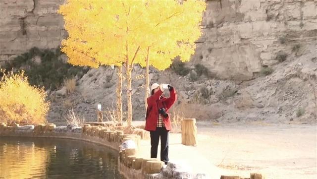 阿克塞县多坝沟胡杨峡景区迎来旅游高峰