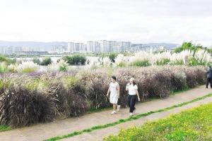 滇池东岸引客来 漫步骑行赏湖光