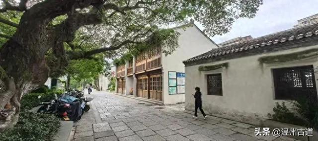 温州市区这条充满历史底蕴的古街道，文化遗迹众多，值得你来逛逛