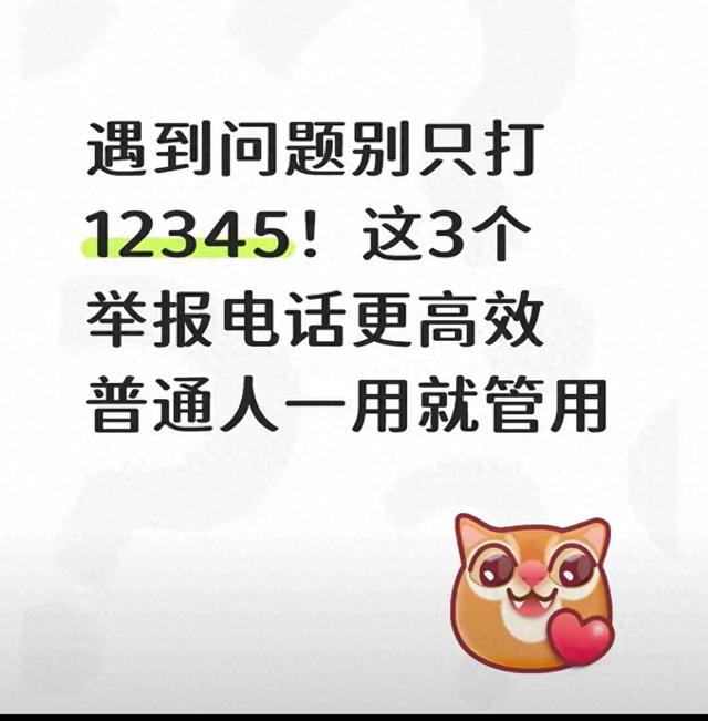 多心怡