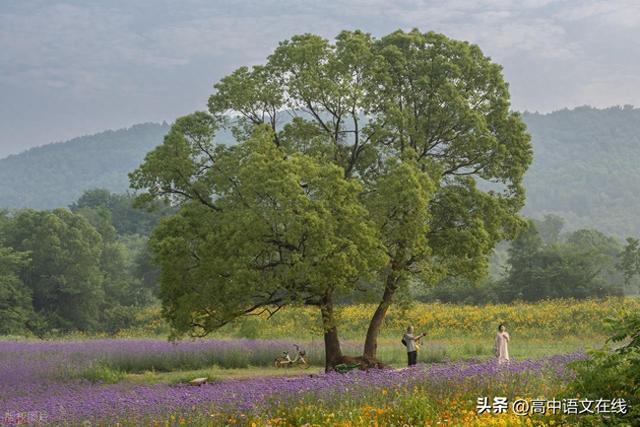 自然现象作文（2026年名校模考作文915走进自然会发现它拥有治愈一切的力量）
