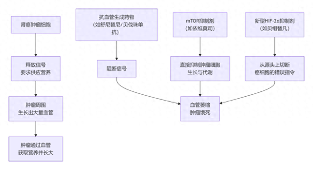利刹车记破解版（科普｜靶向及免疫治疗是如何抗击肾癌的家属该如何配合）