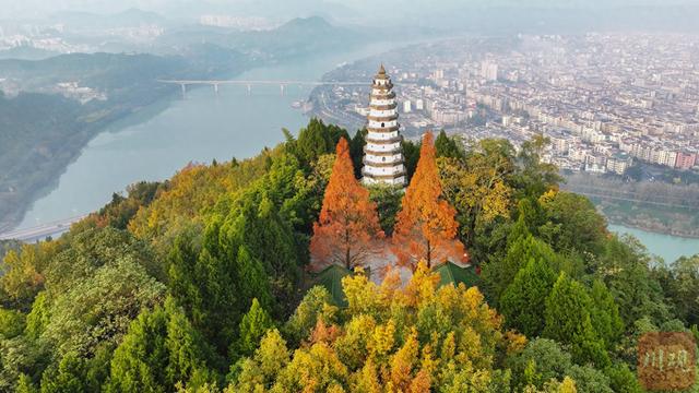 C视觉丨藏不住了 阆中冬日绝美日出，白塔、水杉、晨雾同框 画面太治愈