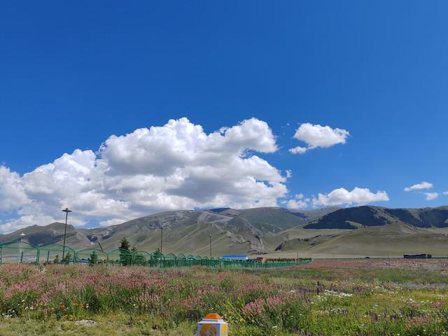 北疆行⑯——博乐会同学