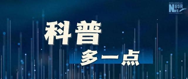 假期旅行出门前，你锁门了吗？