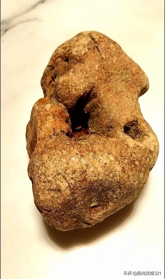 沉默里看见生命的回响—蹲坐的行者《一》