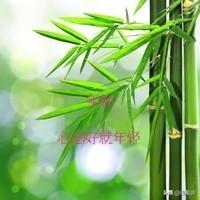 心态好就年轻。年轻这事儿，早就不看年龄了