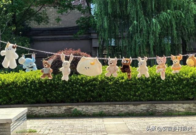 8月，「渴望自由，像治不好的病」