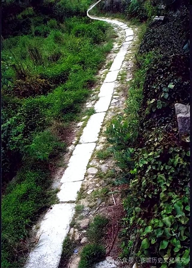 泾青万峻岭古道