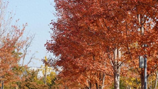 普陀·遇见新视角｜解锁专属你的氛围感大片，秋冬就来普陀这里拍→