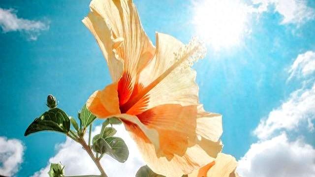 12月9日星期二，辰龙，可能会有小事发生