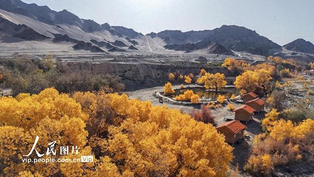 胡杨峡景区秋景如画
