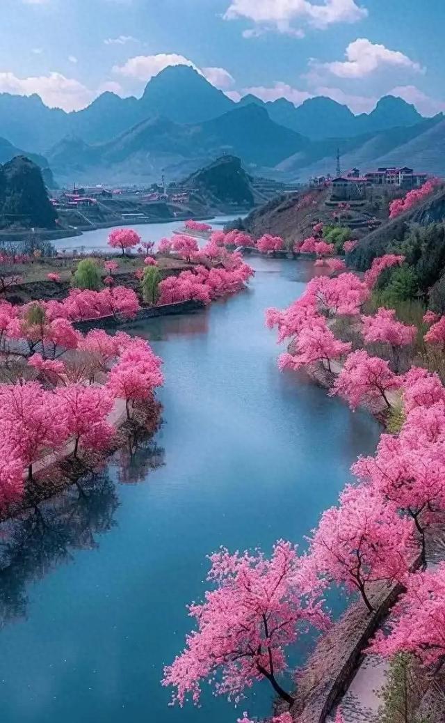 教育部动真格了。新规明确：小学一至六年级，全面取消跨校联考…