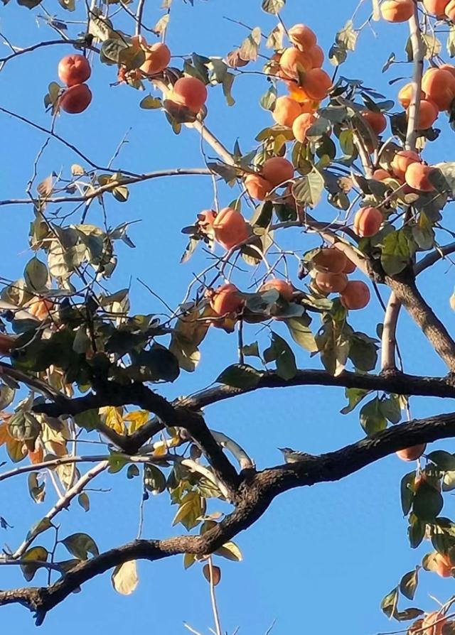 王林平随笔《人随景走景随人转》