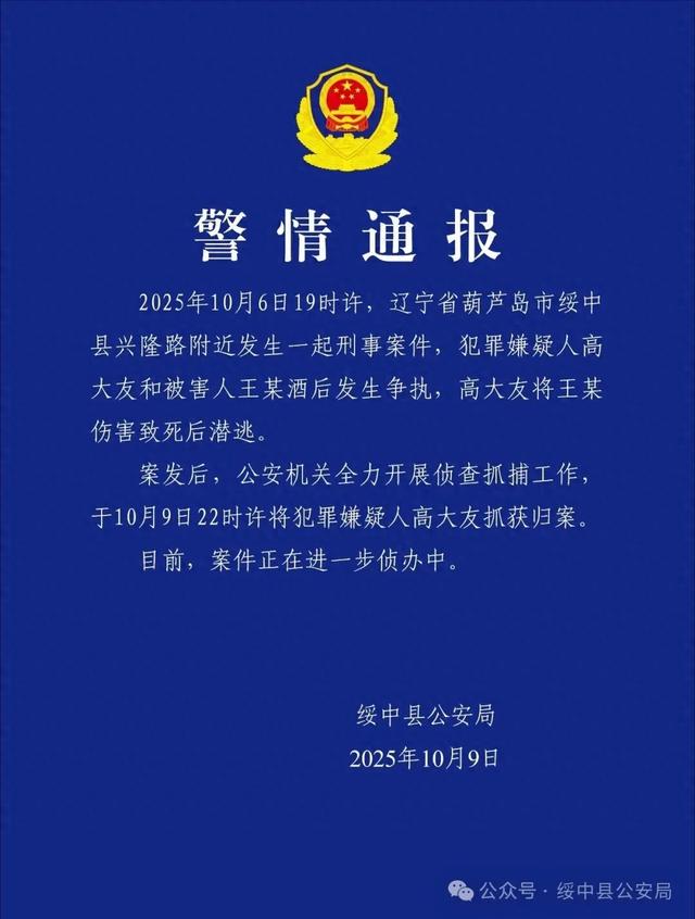 辽宁警方通报：高大友酒后伤人致死，已被抓获归案