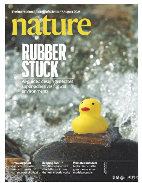 香港大学再发顶刊，最新研究成果在《nature》在线发表