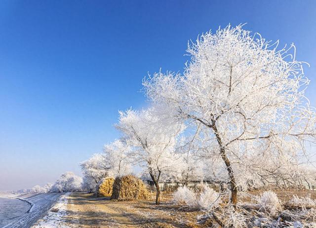 强烈建议！1 月一定要去一次雾凇岛！不愧是中国必看雾凇之一！