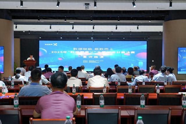 2025年“数据要素×”大赛湖南分赛决赛收官