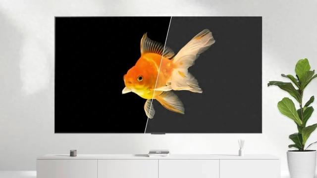 屏幕显示终极对决：OLED vs. Mini-LED，谁才是你的“真命屏”？