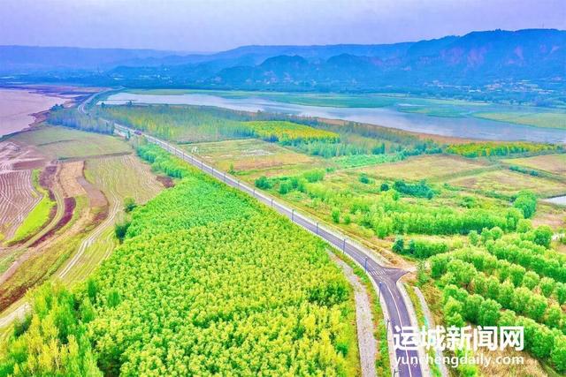 黄河一号旅游公路平陆段：层林尽染黄河岸