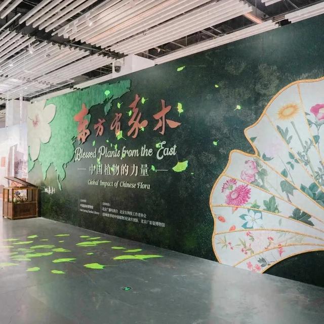 中秋国庆假期去哪儿？山河共月明 园林映华章 园博馆邀你园林共狂欢