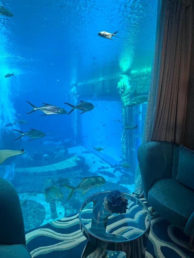 轻资产模式，复星旅文抢滩海南入境游