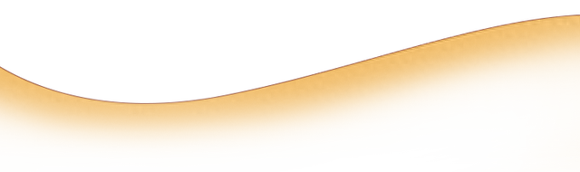 津彩三重奏已准备就绪！海河旧书市集本周必打卡