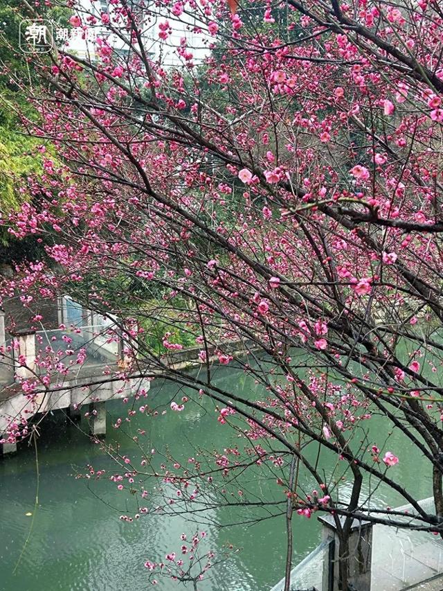 春节浙江人去哪玩？分享你的独家年味，赢潮新闻独家展示位