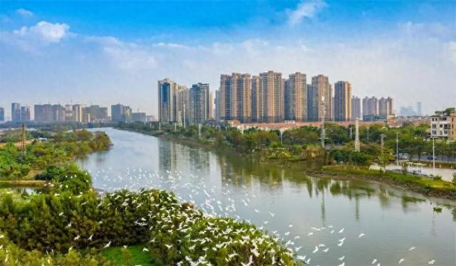 跟着公交游顺德，畅游世界美食之都新体验‌